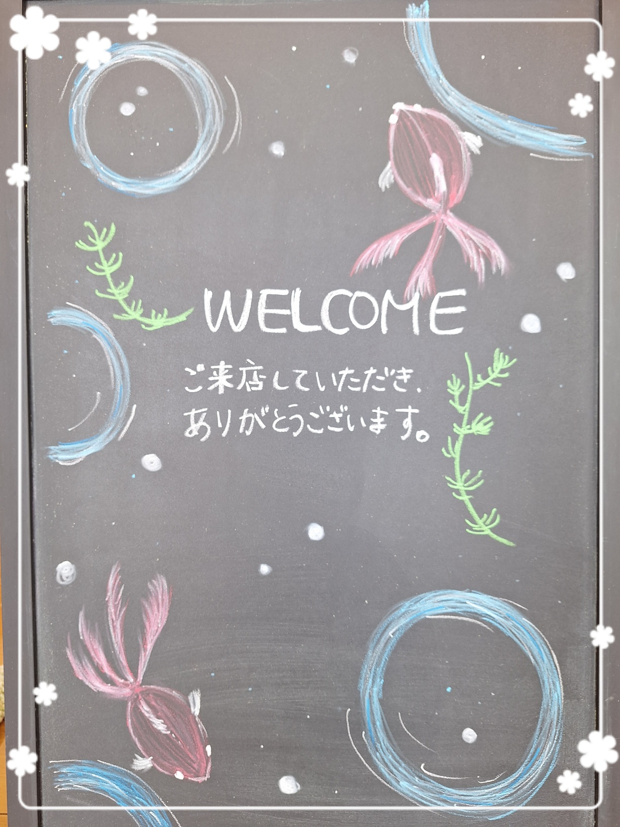 よろしくお願いします!!! 8月もよろしくお願いします | 埼玉ダイハツ販売株式会社